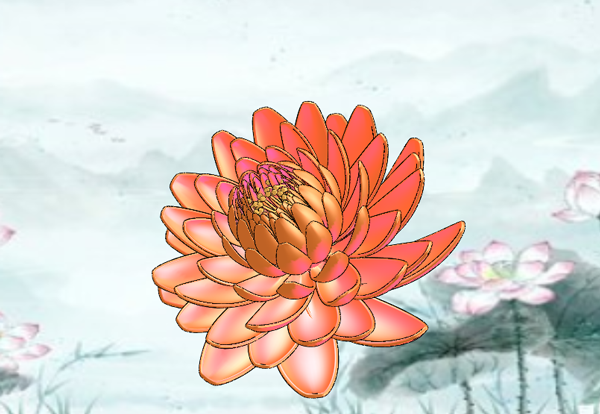 夏日与睡莲的奇妙邂逅